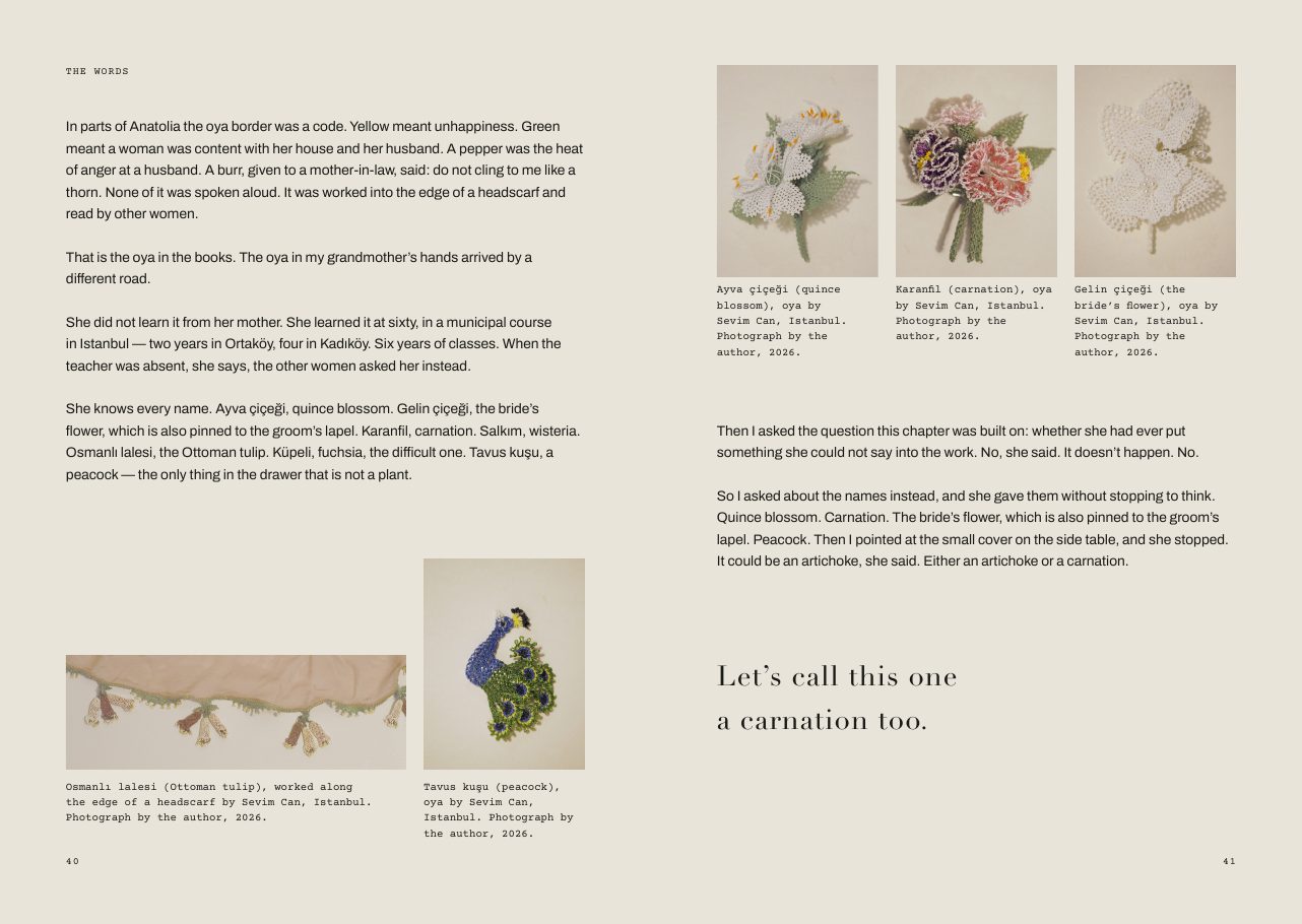 Speaking in Holes — Research, writing & editorial design by Nazlı Can — 08 — Let’s call this one a carnation too